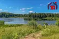 Коттедж 116 м² Воропаевский сельский Совет, Беларусь