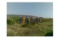 Commercial property 1 126 m² in Kosharitsa, Bulgaria