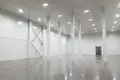 Warehouse 4 200 m² in Shchyolkovo, Russia