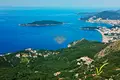 Commercial property  in Montenegro, Montenegro