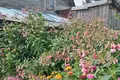 House 30 m² Gorodetsky District, Russia
