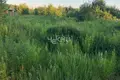 Grundstück 1 600 m² Bezvodnoe, Russland