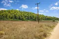 Atterrir 18 000 m² Kassandrino, Grèce