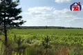 House 84 m² Raunapollie, Belarus