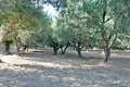 Land 1 room 4 500 m² Zakynthos Municipality, Greece