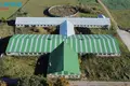 Nieruchomości komercyjne 3 340 m² Skujgie, Litwa