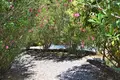 Hotel 700 m² in Regional Unit of Islands, Greece