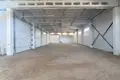 Gewerbefläche 735 m² in Dainos, Litauen