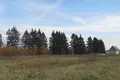 Działki  Bolsevrudskoe selskoe poselenie, Rosja