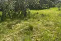 Haus 27 m² Hrodna, Belarus