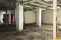 Warehouse 1 room 502 m² in Asipovichy District, Belarus