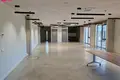 Gewerbefläche 2 216 m² in Zemaitkiemis, Litauen
