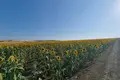 Apartamento  Tankovo, Bulgaria