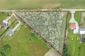 Land 12 000 m² Dabrowka Lesna, Poland