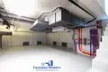 Cottage 438 m² Minsk, Belarus