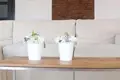 3 room apartment  Smolice, Poland