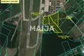 Land  Marupe, Latvia