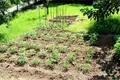4 room house 120 m² Sofia, Bulgaria