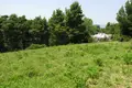 Land 1 room 6 500 m² Kassandreia, Greece