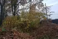 Parcelas  Odincovskij gorodskoj okrug, Rusia