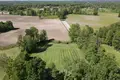 Land 5 000 m² Albertowsko, Poland