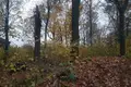 Parcelas  Odincovskij gorodskoj okrug, Rusia
