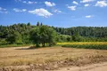 Atterrir 18 000 m² Kassandrino, Grèce