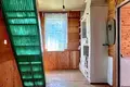 House 48 m² Starobinski sielski Saviet, Belarus