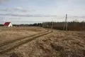 Działki  Bolsevrudskoe selskoe poselenie, Rosja