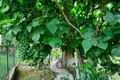Haus 122 m² Evenkiysky Rayon, Russland