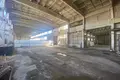 Lager 2 611 m² Lepel, Belarus