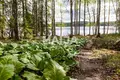 Cottage  Rovaniemi sub-region, Finland