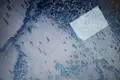 Земельные участки 24 999 м² Бакуриани Андезити, Грузия