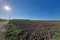 Земельные участки 29 997 м² Kostrzyn, Польша