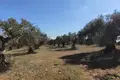 Земельные участки 1 комната  Айос-Николаос, Греция
