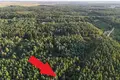 Atterrir 1 018 m² Radzyny, Pologne