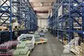 Warehouse 766 m² in Brest, Belarus