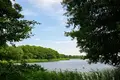 Parcelas 31 500 m² Buszewo, Polonia
