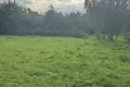 Земельные участки  Сокольники, Беларусь