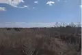 Коммерческое помещение  Таирово, Украина