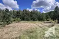 Land  Muchaviecki sielski Saviet, Belarus