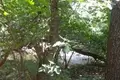 Land 1 room 7 050 m² Otwock, Poland