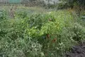 Коммерческое помещение  Одесса, Украина