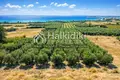 Land 1 560 m² Kalyves Polygyrou, Greece