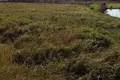 Land  Alytus, Lithuania