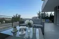 Luxury Tirana Villa Lake View