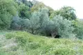 Atterrir 1 chambre  Makryrrachi, Grèce