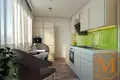 Apartamento 1 habitación 48 m² Praga, Chequia