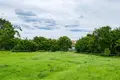 House 44 m² Mir, Belarus