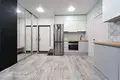 2 room apartment 46 m² Minsk, Belarus
